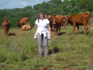 Maria Tuduri and some of her Menorcan brown cows