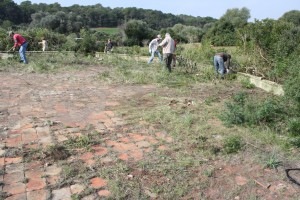 Volunteers clearing a threshing floor