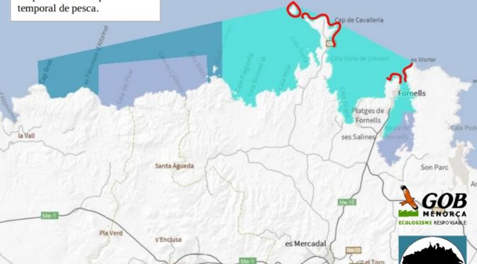 The Marine Resorve of North Menorca