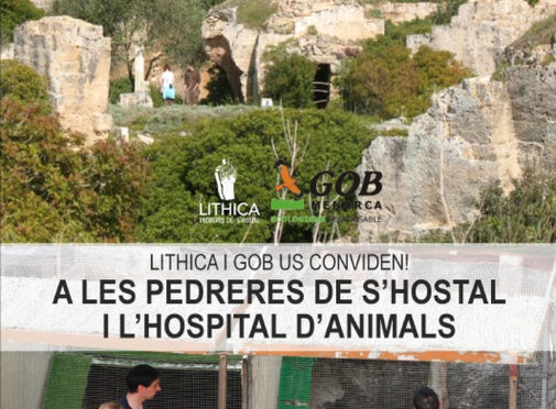 Sunday 2, open day at the Pedreres de s´Hostal and the Animal Hospital