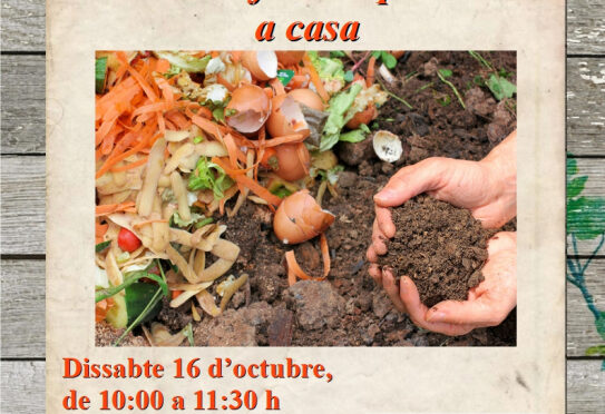 Saturday, workshop on how to make compost at Es Viver