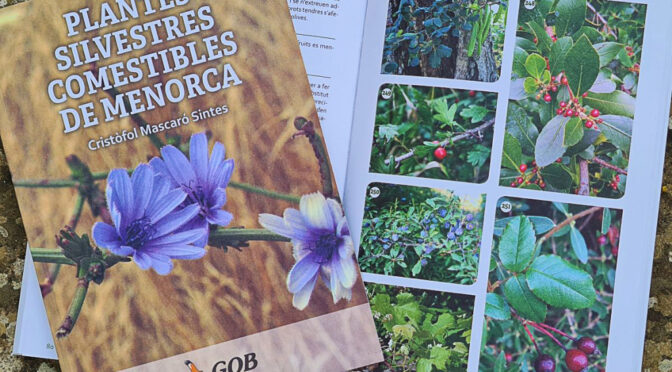 Reissue of book on edible wild plants of Menorca