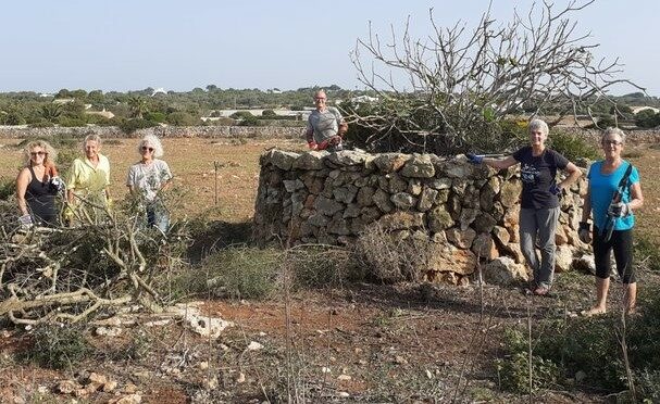 21 fig tree enclosures are restored by the Land Stewardship Scheme