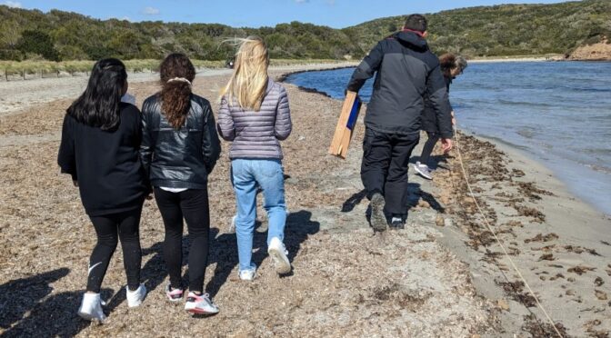 Menorca puts one more beach under the spotlight of citizen science
