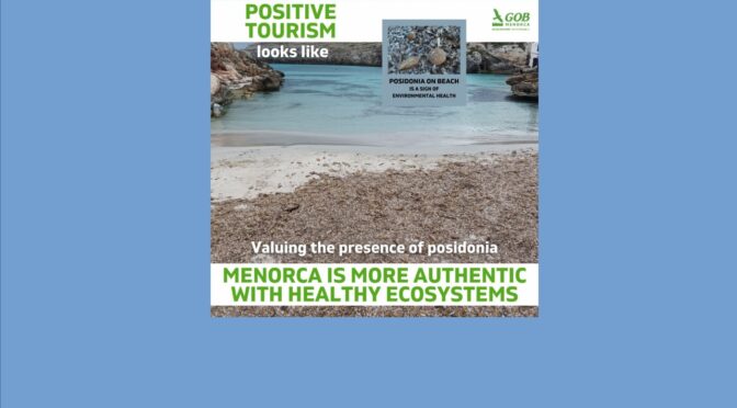 Positive Tourism (8) – Posidonia on the beaches