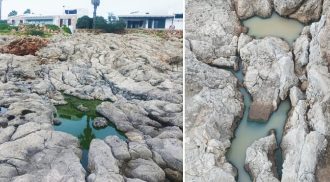 Discharge of sewage water in Cap d’en Font