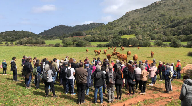 Excursion to Son Blanc Nou, Saturday, October 26