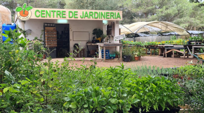 Water-saving gardens: alternatives to lawns