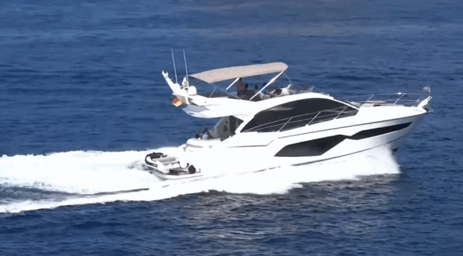 Nautical activity and marine fauna