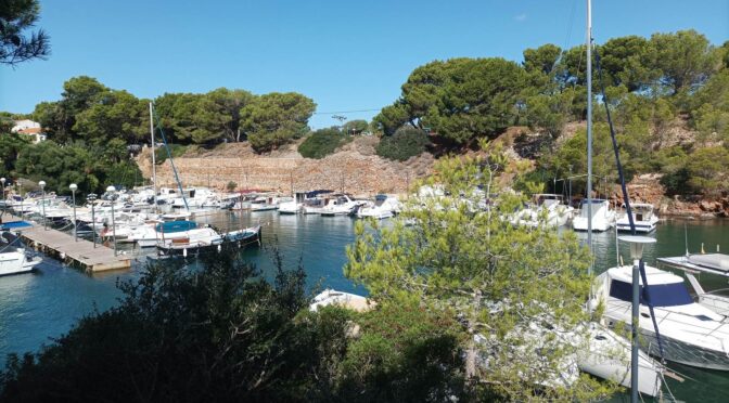 Gratitude and recognition for Cala en Busquets