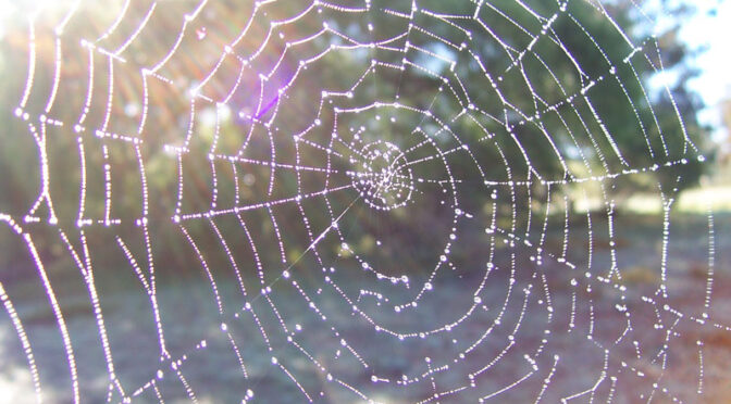 Menorca, our Alhambra