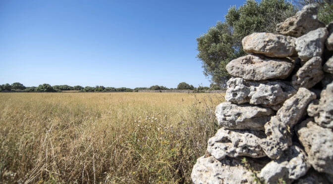 Call for innovative farmers – final stage