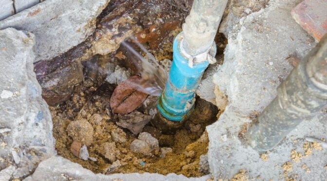 Call for Water in Menorca: Es Migjorn Gran and Ferreries